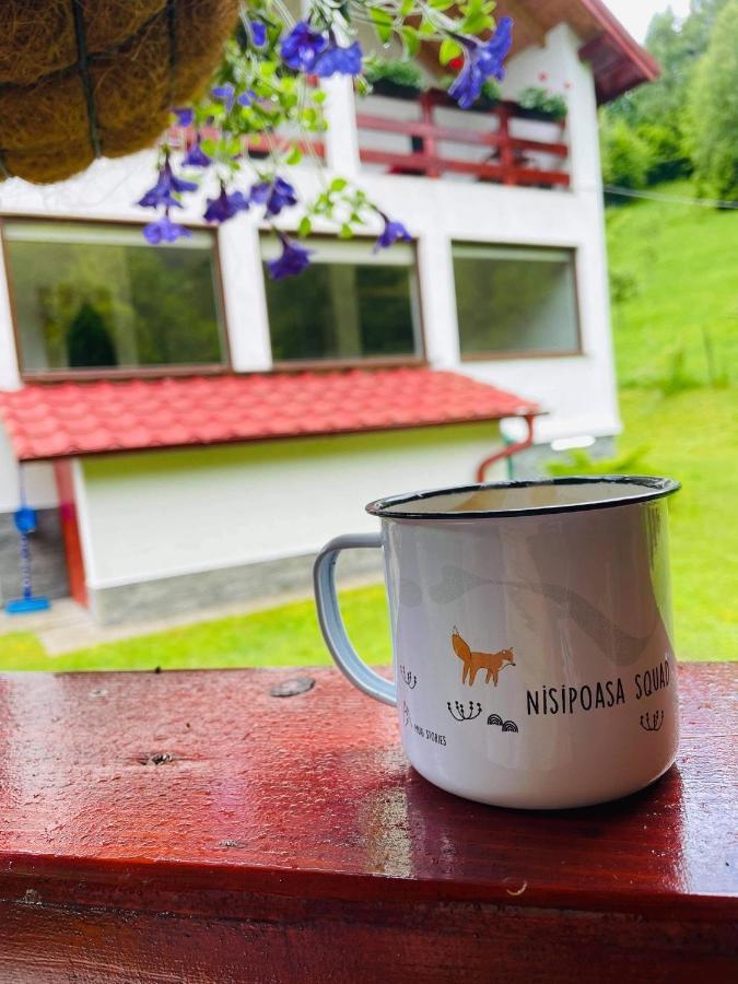 Cabana Nisipoasa Rîu de Mori Екстериор снимка