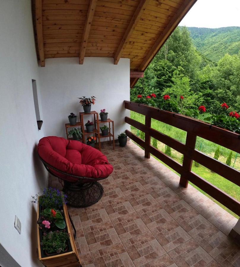 Cabana Nisipoasa Rîu de Mori Екстериор снимка