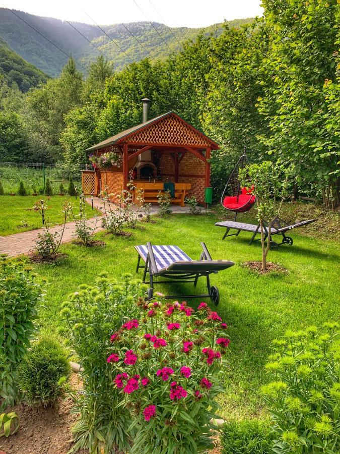 Cabana Nisipoasa Rîu de Mori Екстериор снимка
