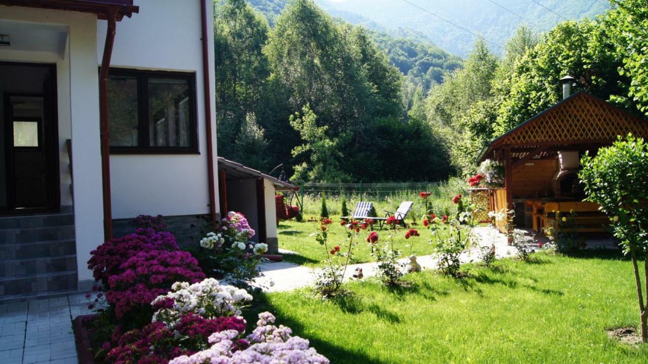 Cabana Nisipoasa Rîu de Mori Екстериор снимка