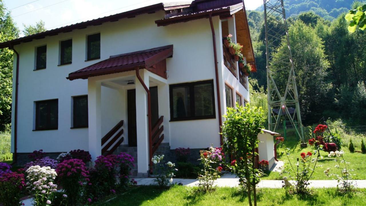 Cabana Nisipoasa Rîu de Mori Екстериор снимка